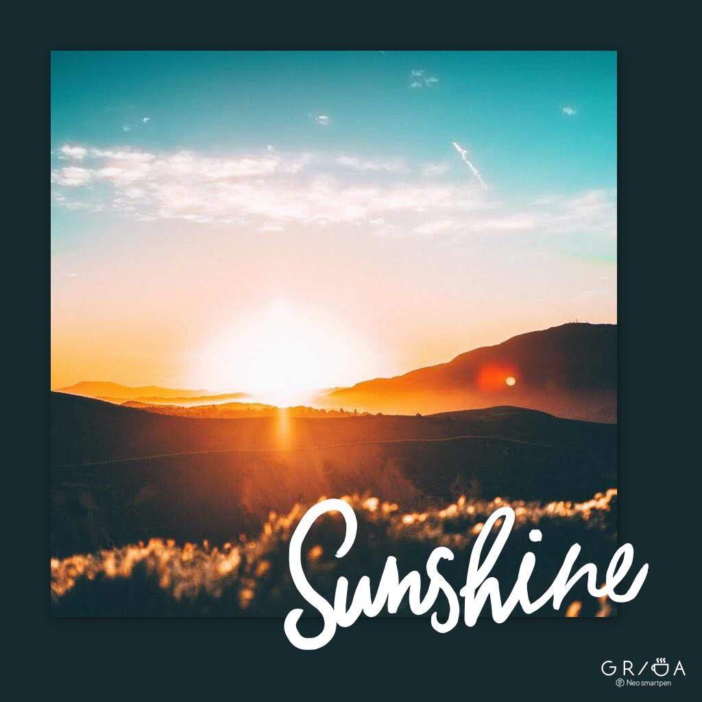 GRIDA sample: Sunshine